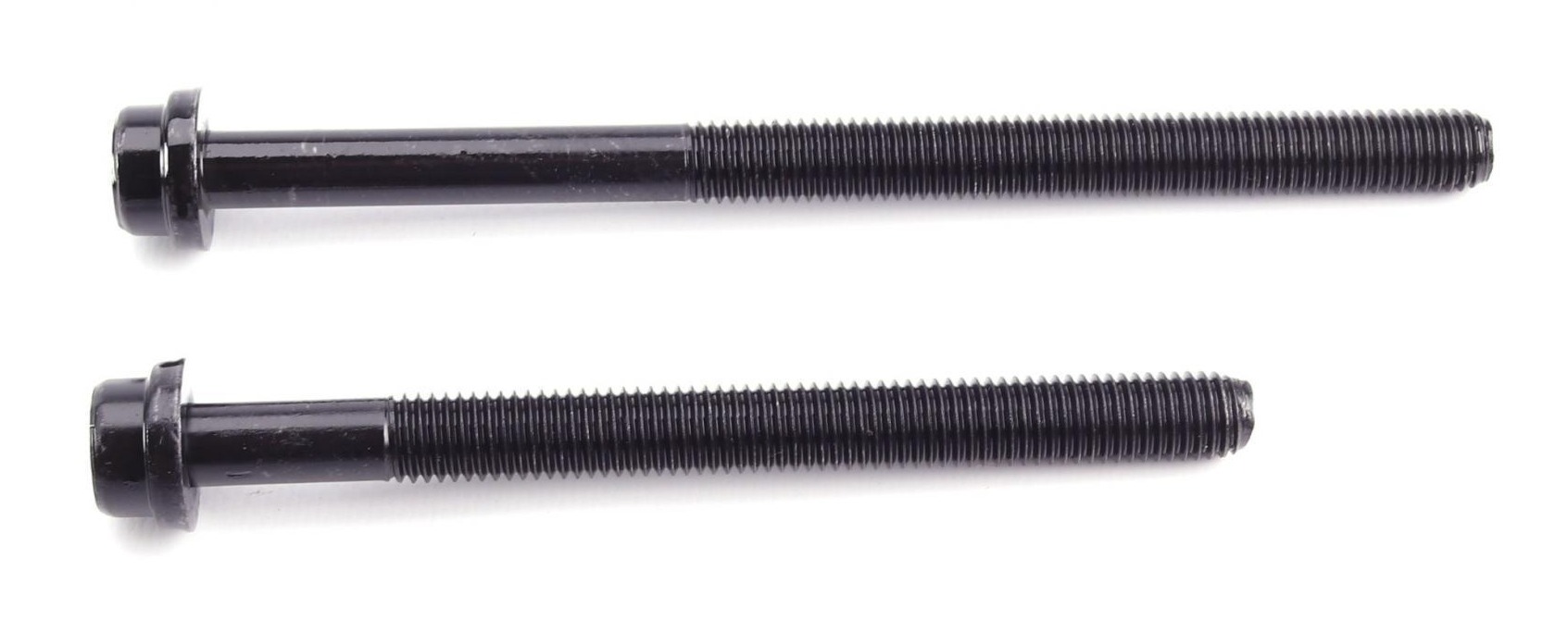 143213401 VICTOR REINZ
